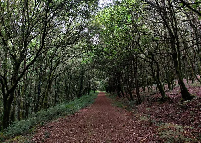 Daire Super Santiago Santiago de Compostela